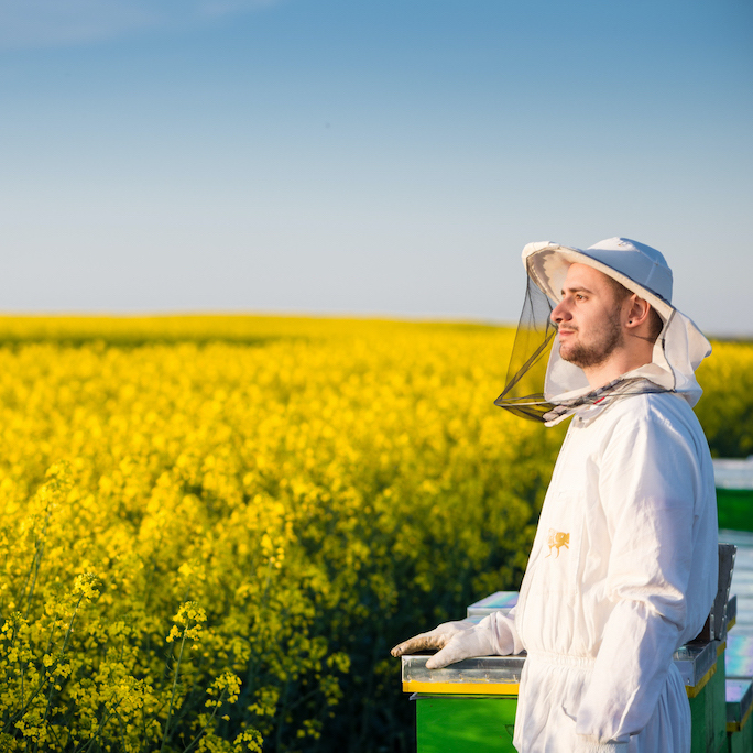 Young proud apiarist holding a smoker on a rapeseed field and looking into the sun. Selective focus, narrow depth of field, copy space