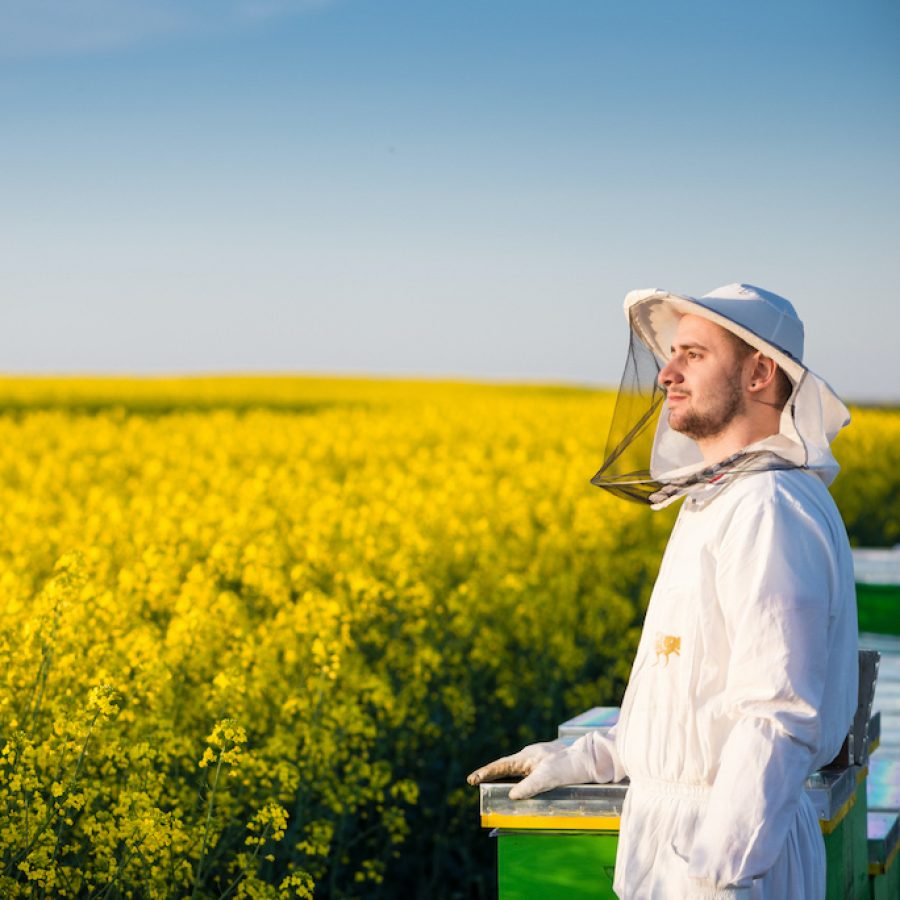 Young proud apiarist holding a smoker on a rapeseed field and looking into the sun. Selective focus, narrow depth of field, copy space